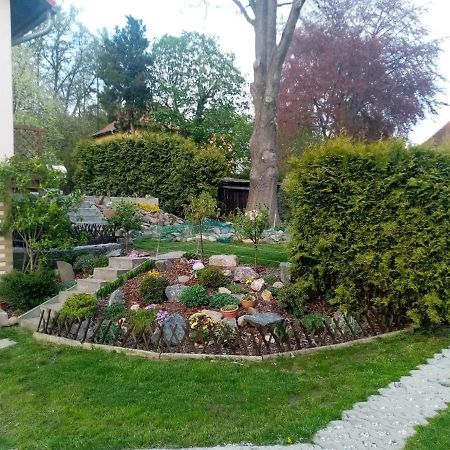 Apartman Ivana Appartement Rumburk Buitenkant foto