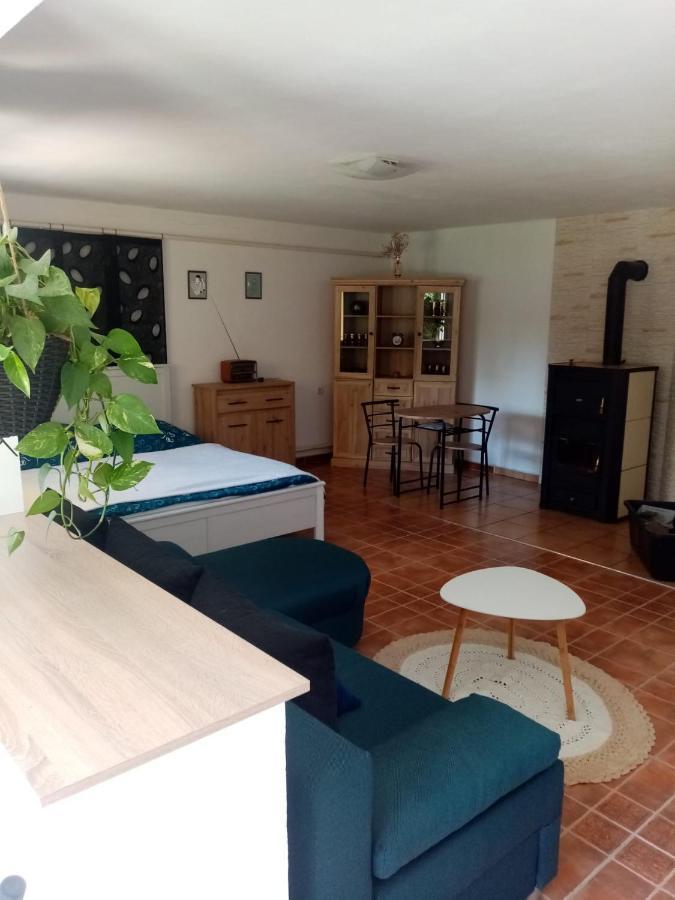 Apartman Ivana Appartement Rumburk Buitenkant foto